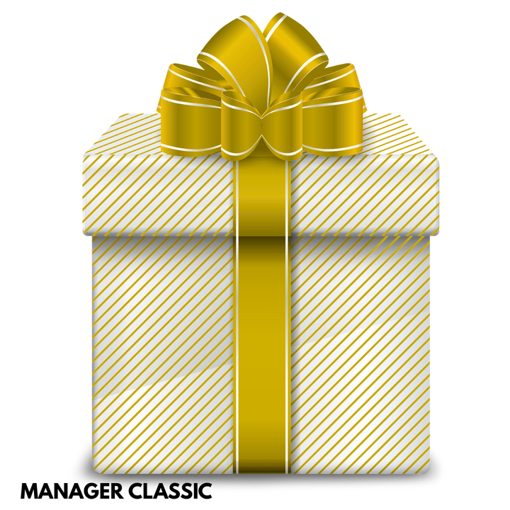 Poslovni poklon MANAGER CLASSIC
