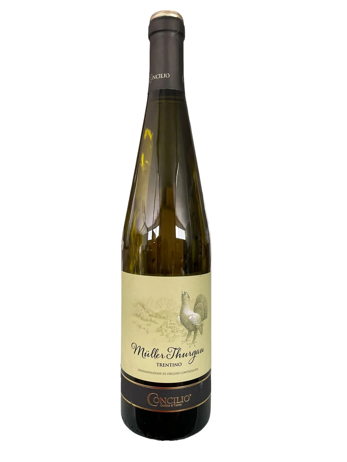 BELO VINO MULLER THURGAU TRENTINO CONCILIO 0,75l Pola Pola