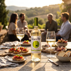 Belo vino SAUVIGNON BLANC Viña Pinilla 0,75 l