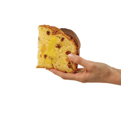 Panettone LIMONI FRUTTA E FIORI Loison 600 g Delikatesi i tako to
